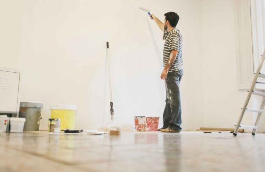 טיפים לצביעת דירות2