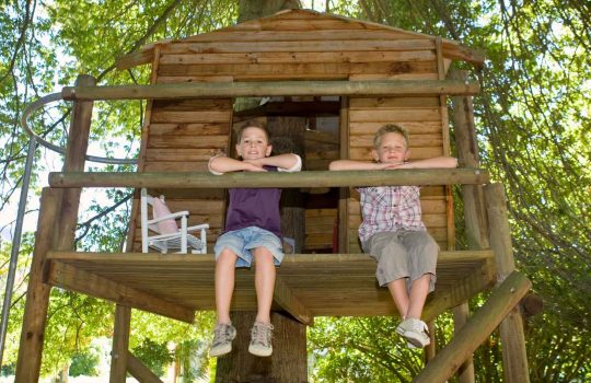 Tree House for Children2